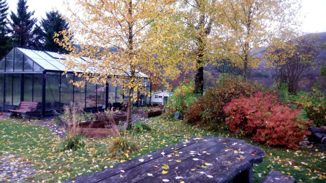 Art Studio Sortland Exteriör bild