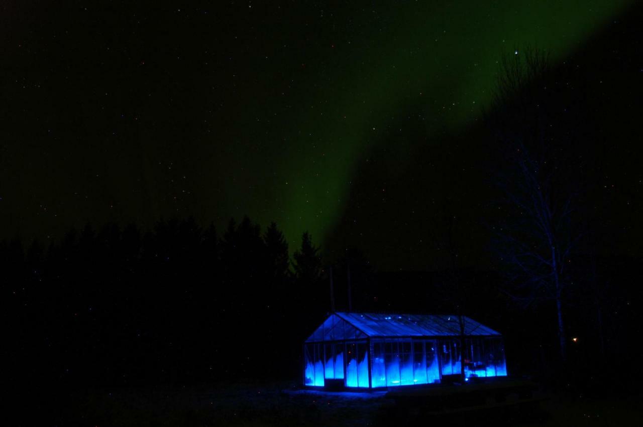 Art Studio Sortland Exteriör bild