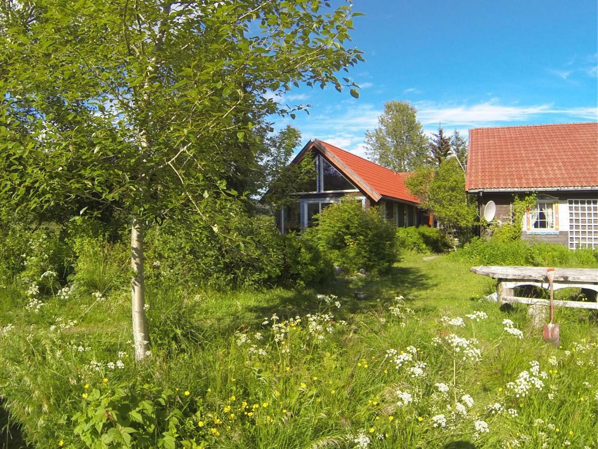 Art Studio Sortland Exteriör bild